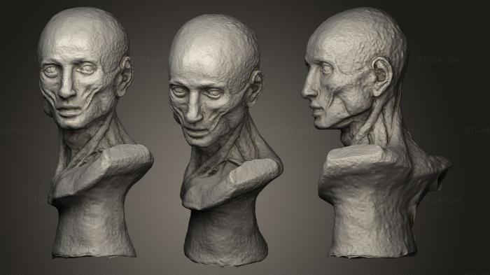 Бюсты и головы античные и исторические (Статуя без кожи, BUSTA_0025) 3D модель для ЧПУ станка